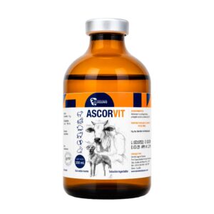 ASCORVIT INYECTABLE - 100ml