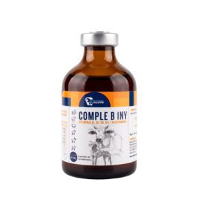 COMPLE B INY - 50ml