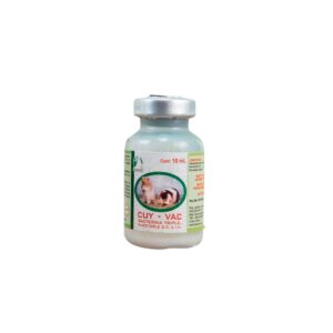 CUY-VAC