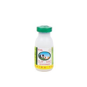 CUY-VAC