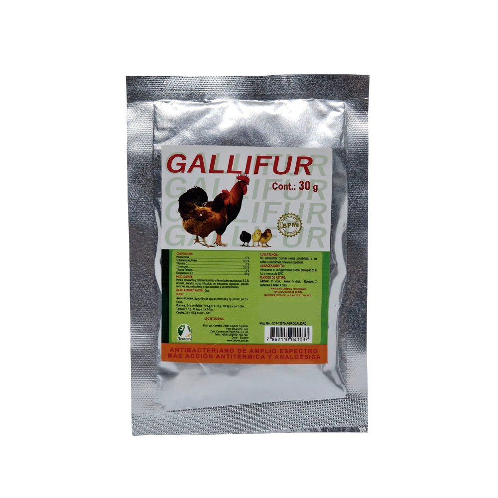 GALLIFUR - Imagen 3
