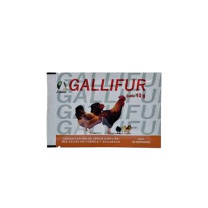 GALLIFUR