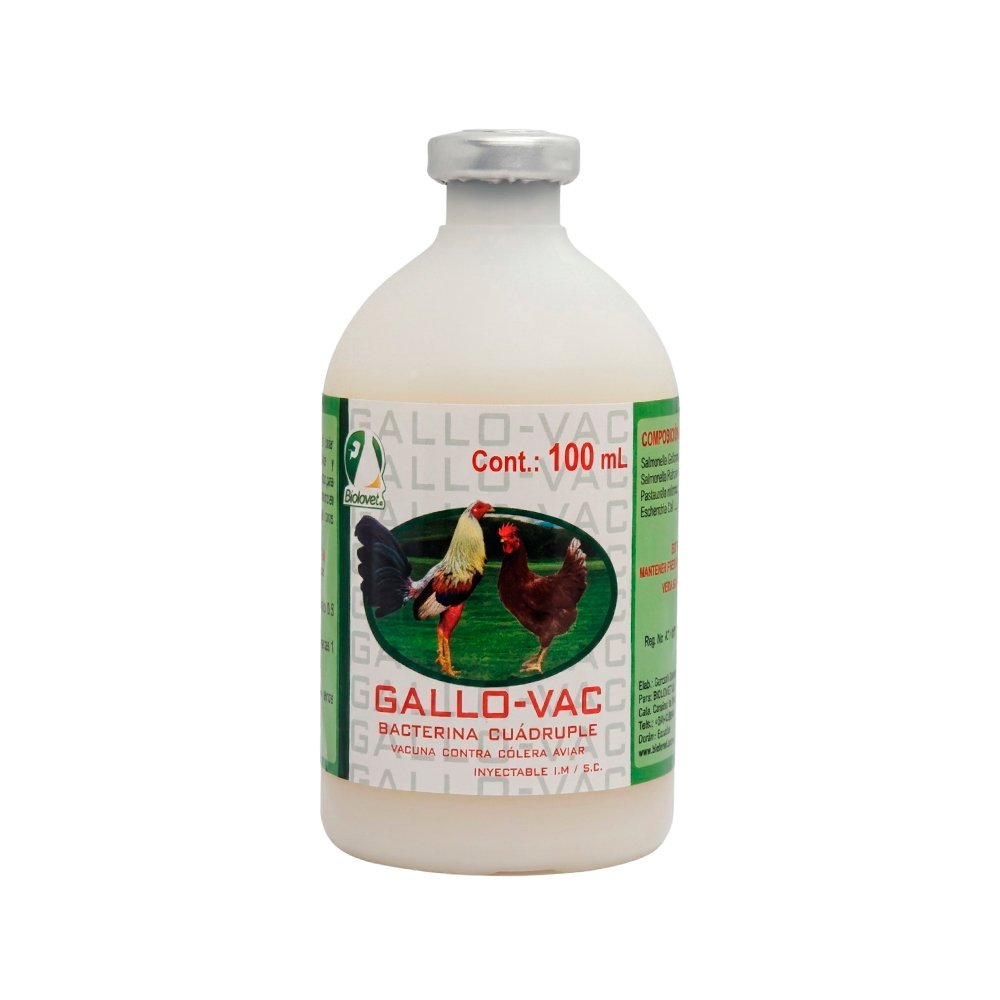 GALLO-VAC - Imagen 3