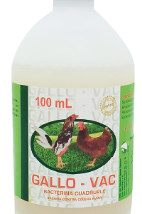 GALLO-VAC