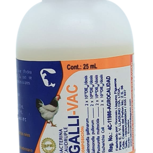 GALLI VAC