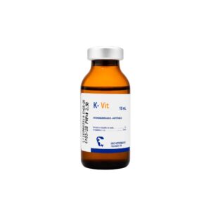 K-VIT