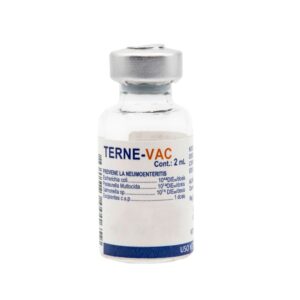TERNE VAC