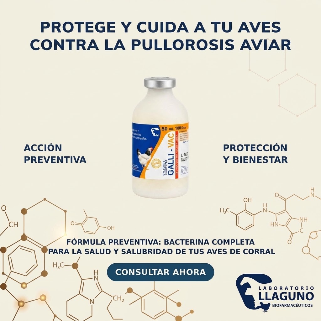 Vacuna para prevenir la pullorosis