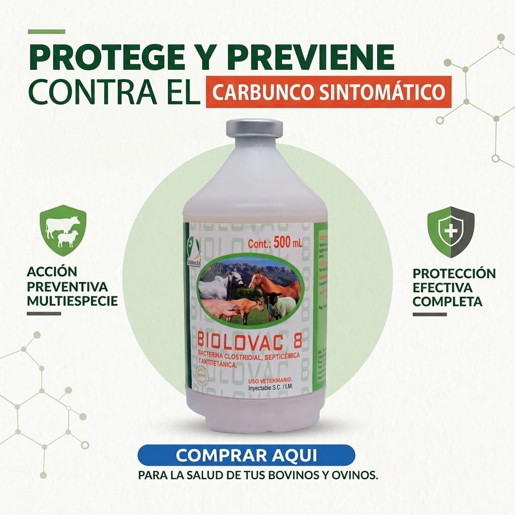 Vacuna para prevenir el carbunco 